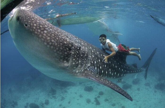 ���������