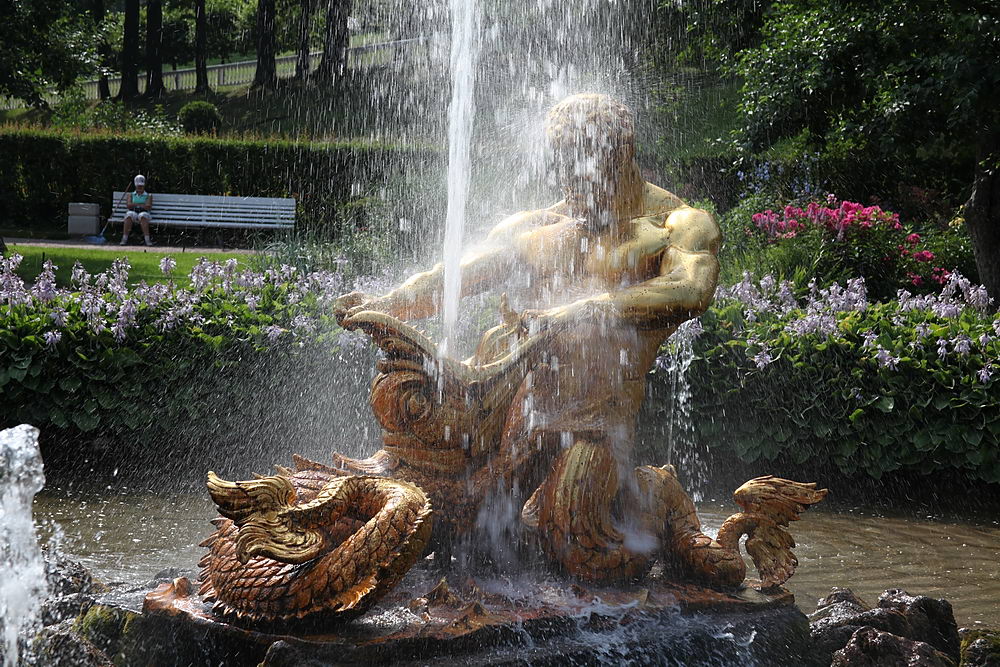 ���������