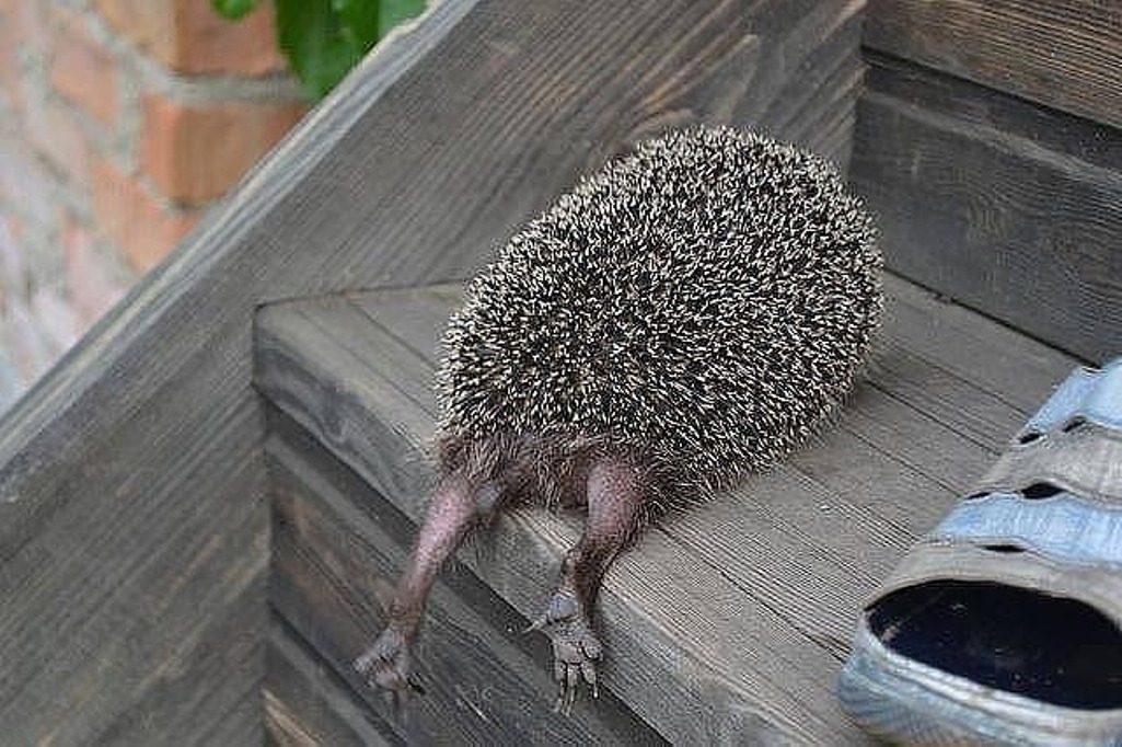 ���������