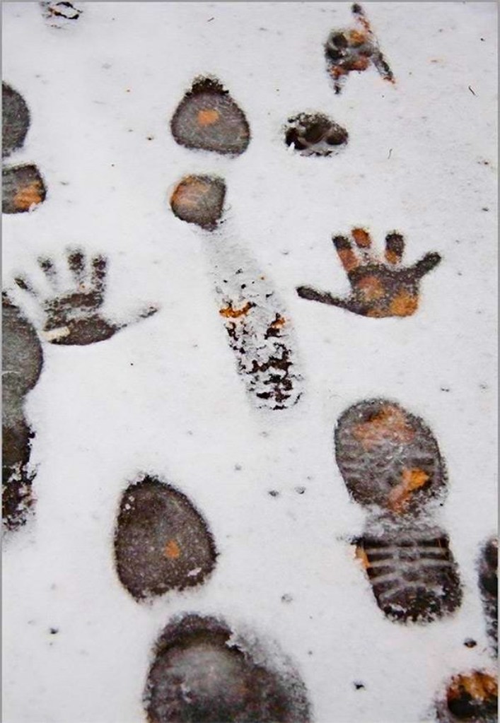 ���������