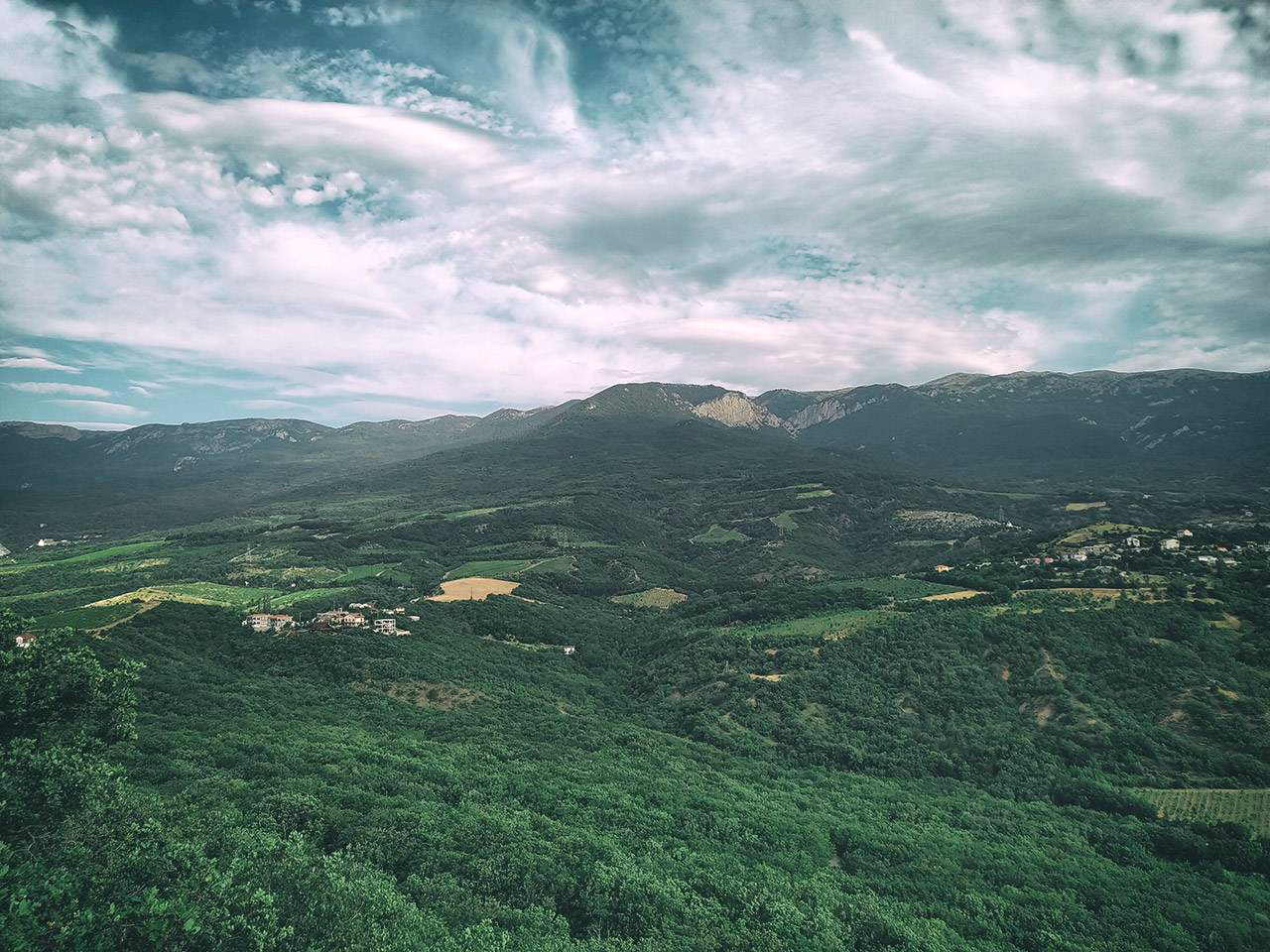 ���������