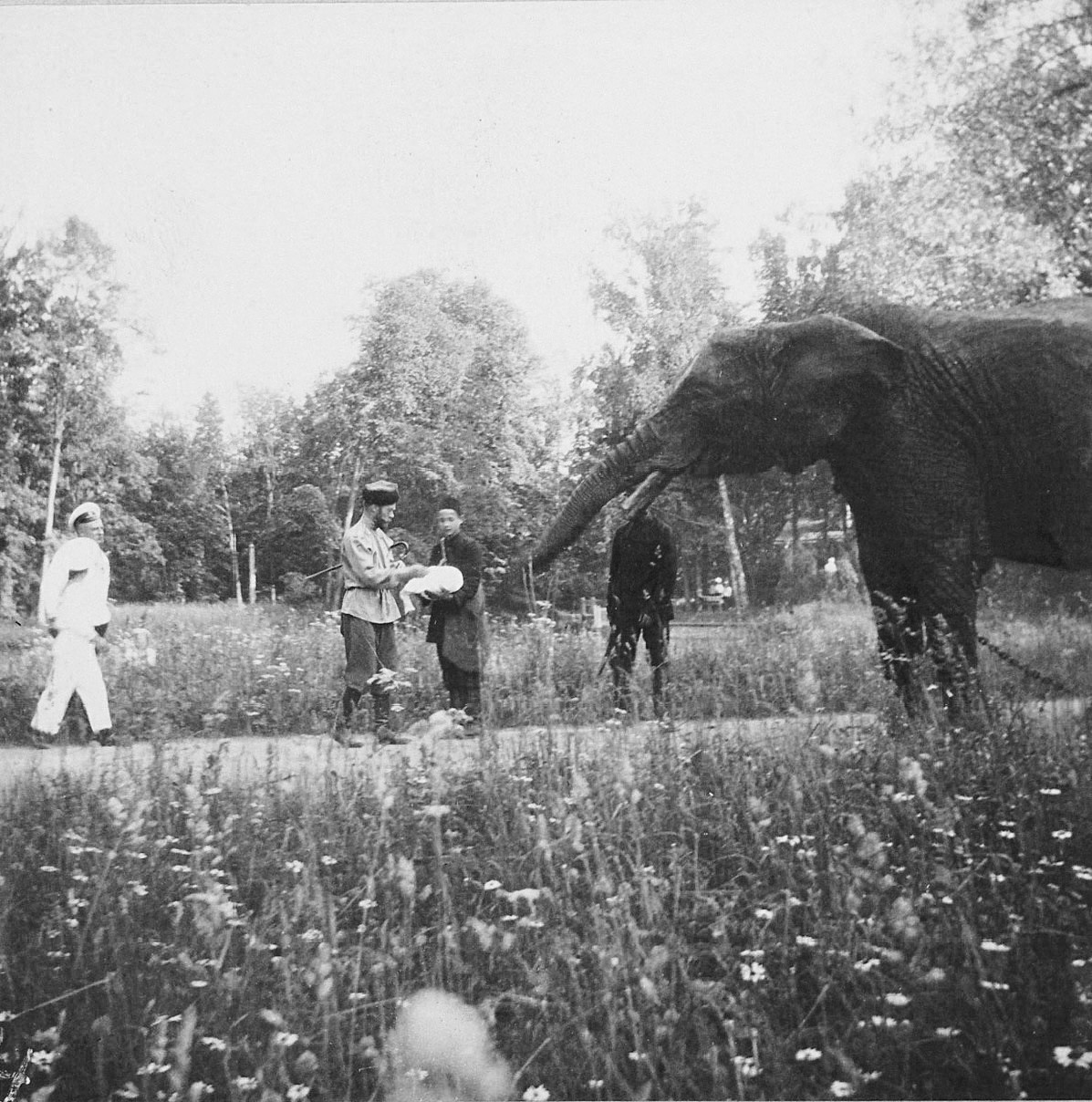 ���������