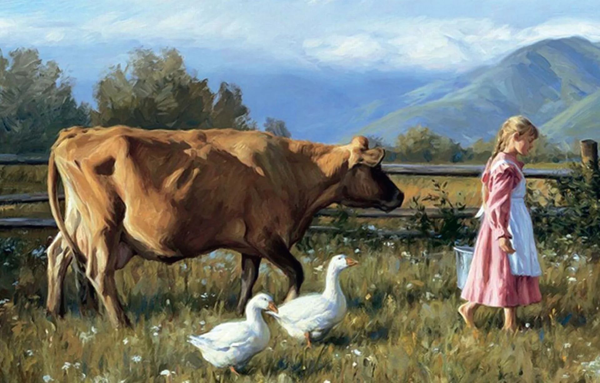 ���������