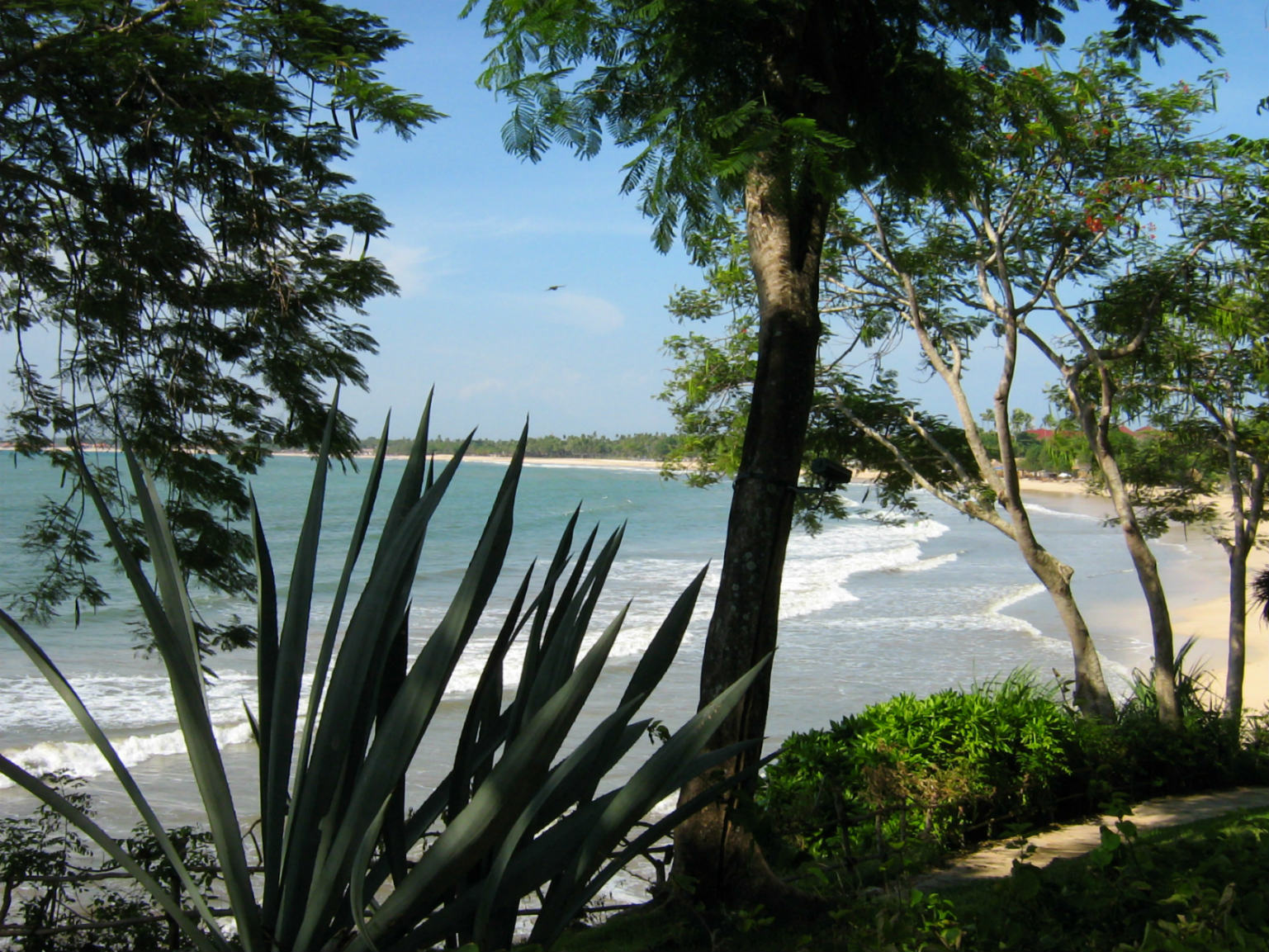 ���������