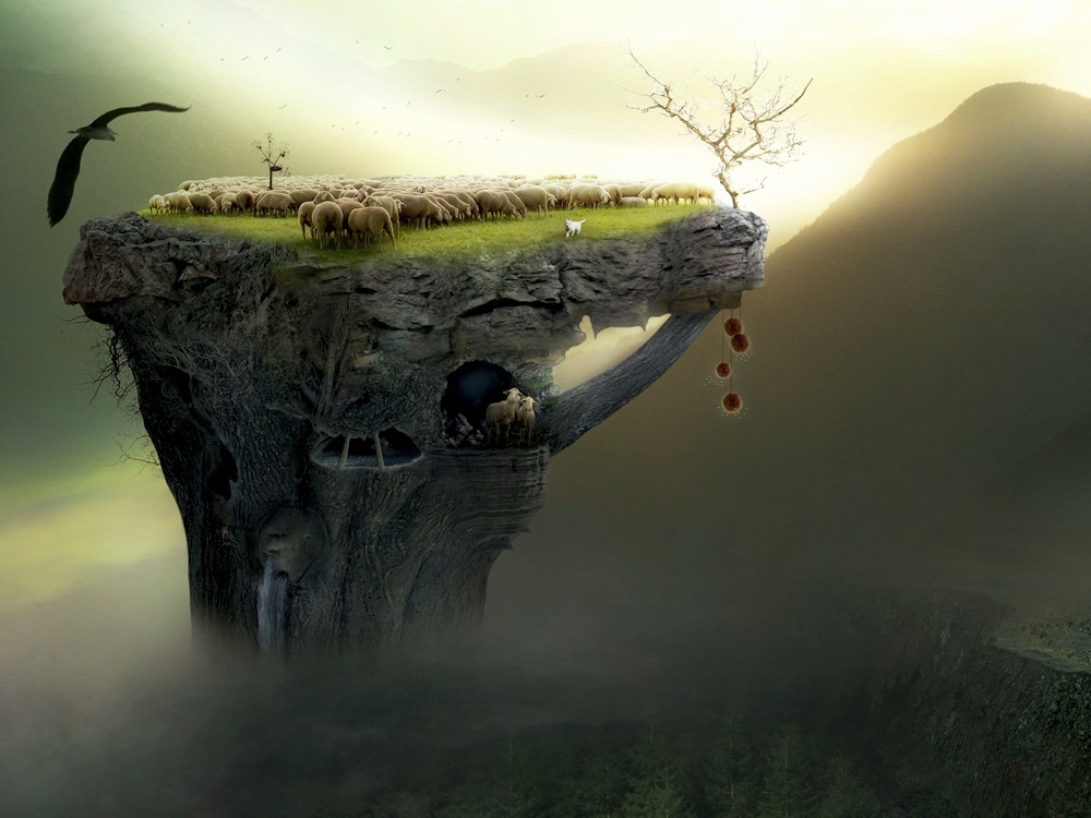 ���������