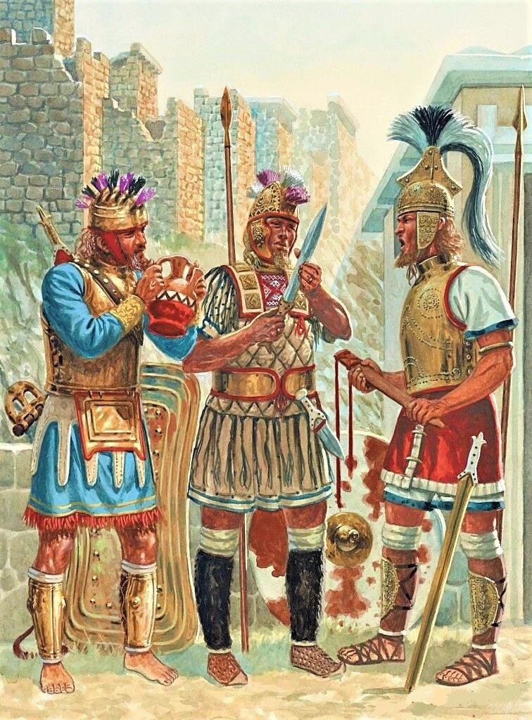 ���������