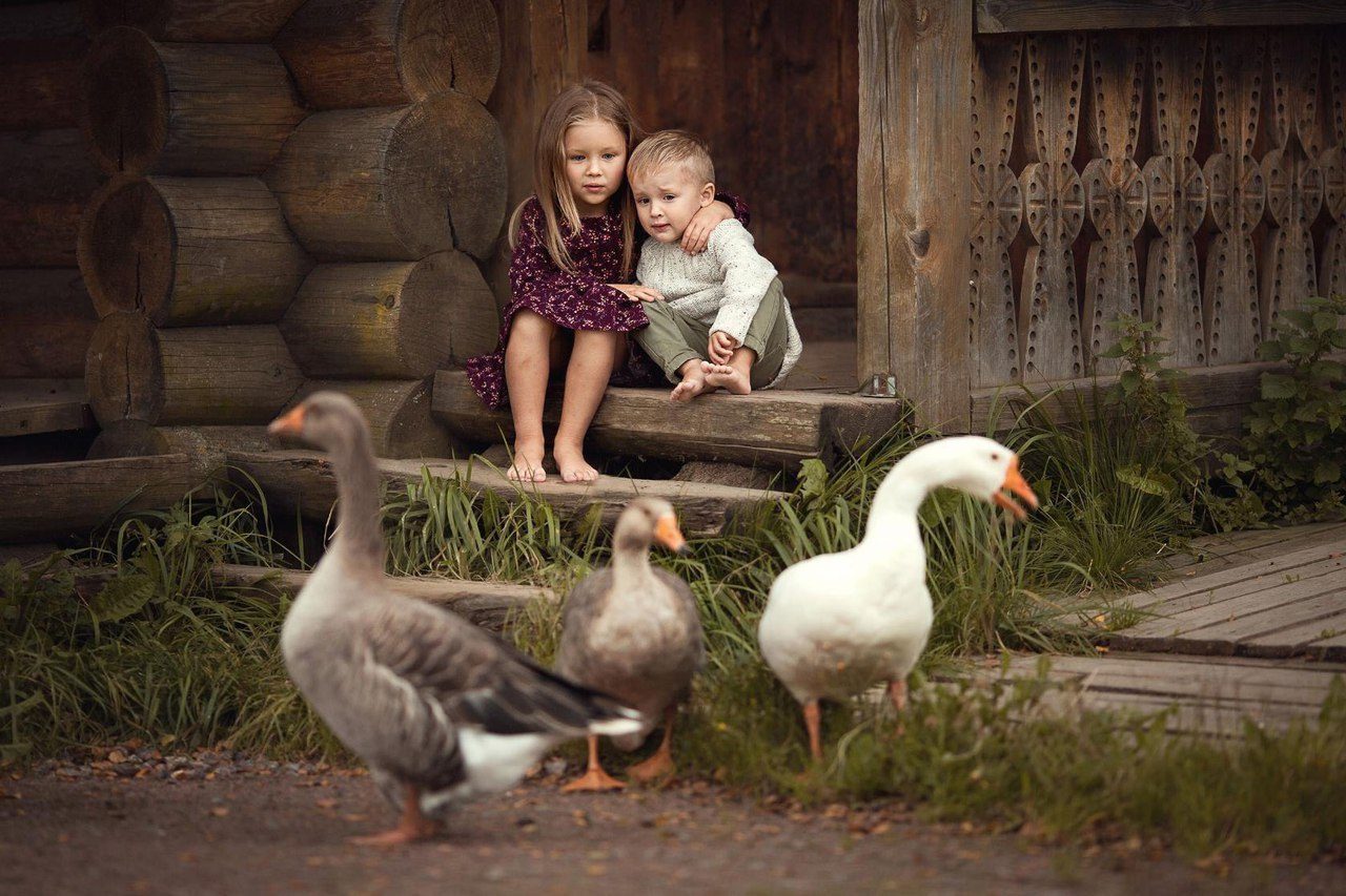 ���������