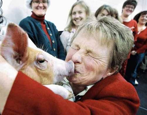 ���������