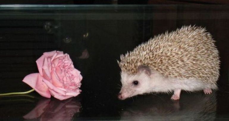 ���������