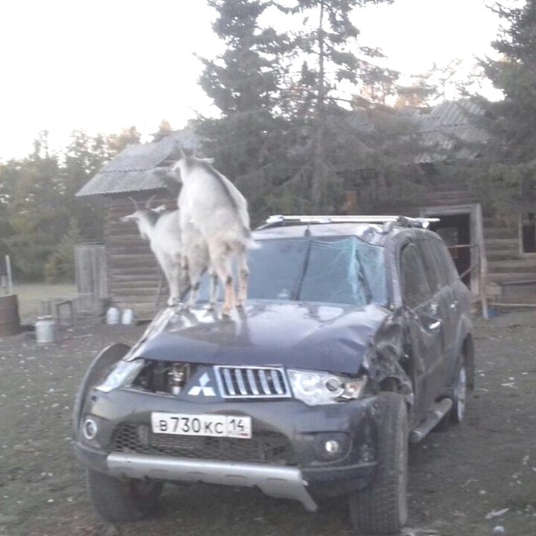 ���������