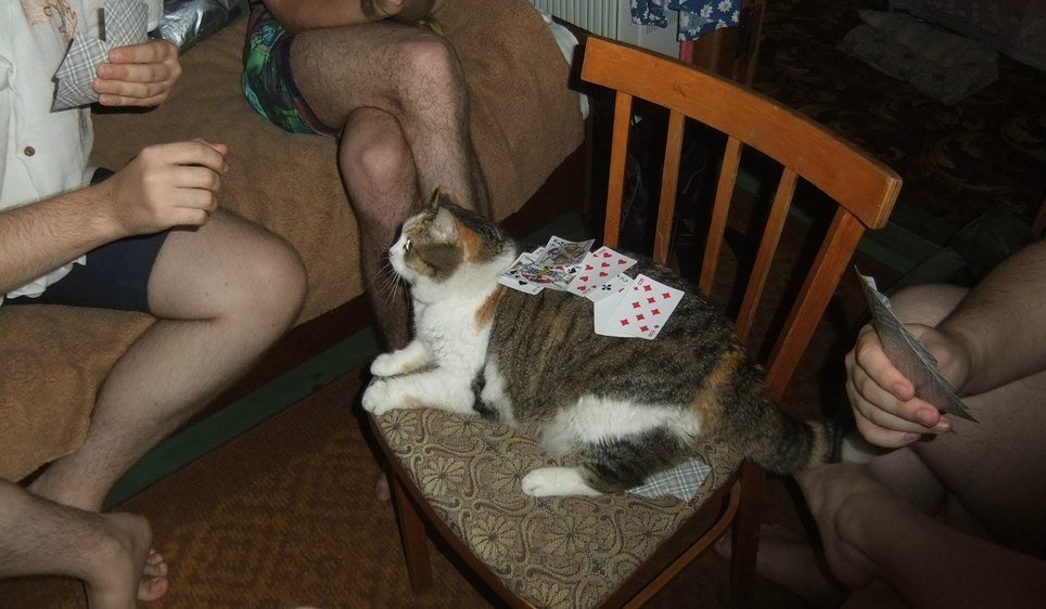 ���������