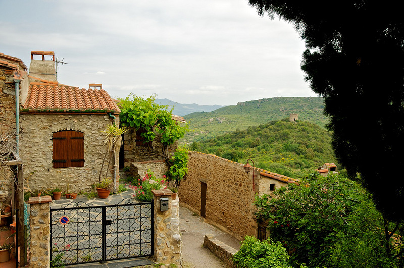 ���������