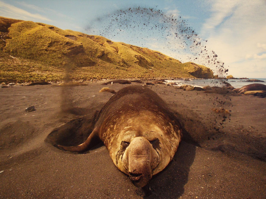 ���������