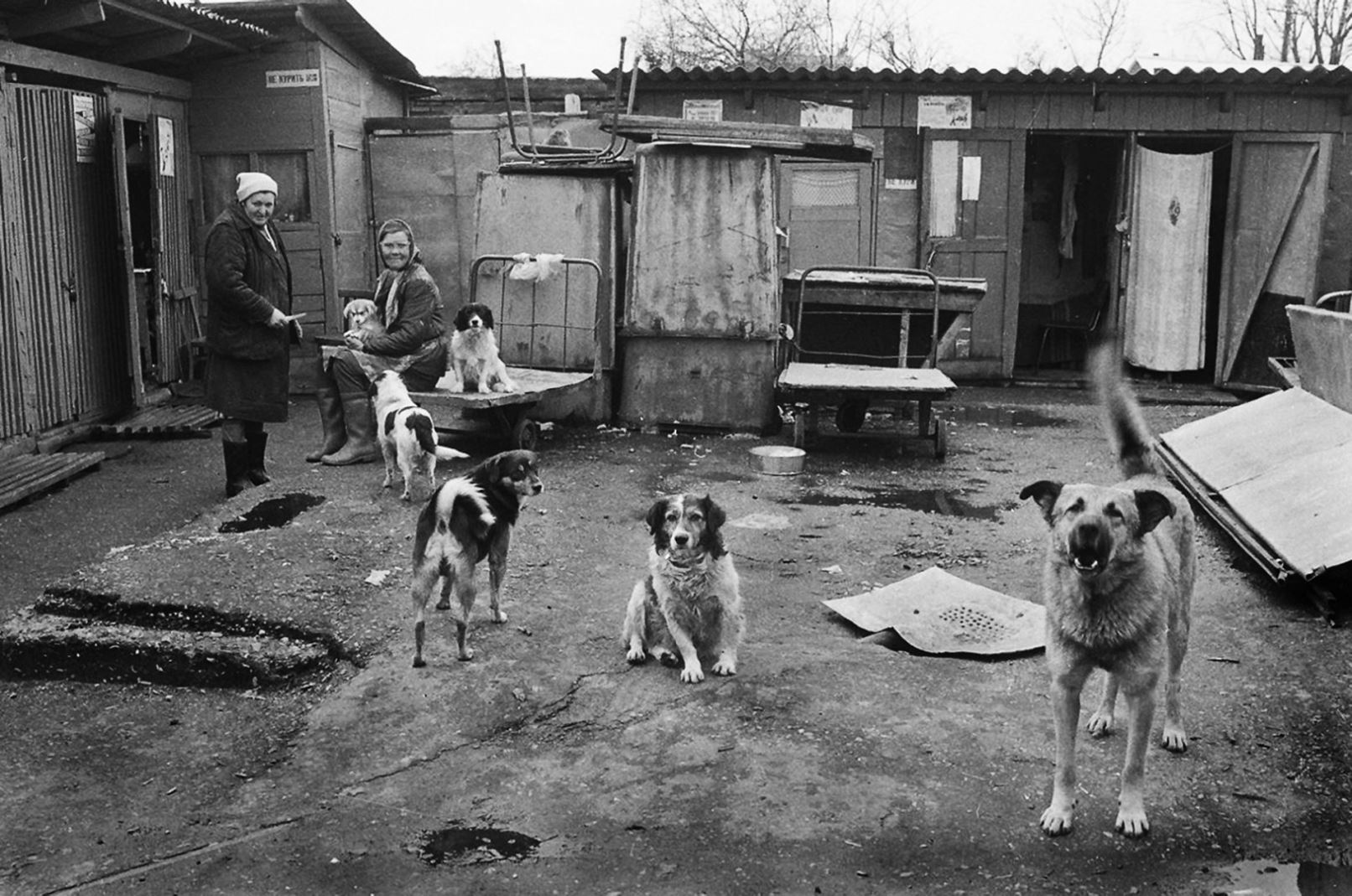 ���������