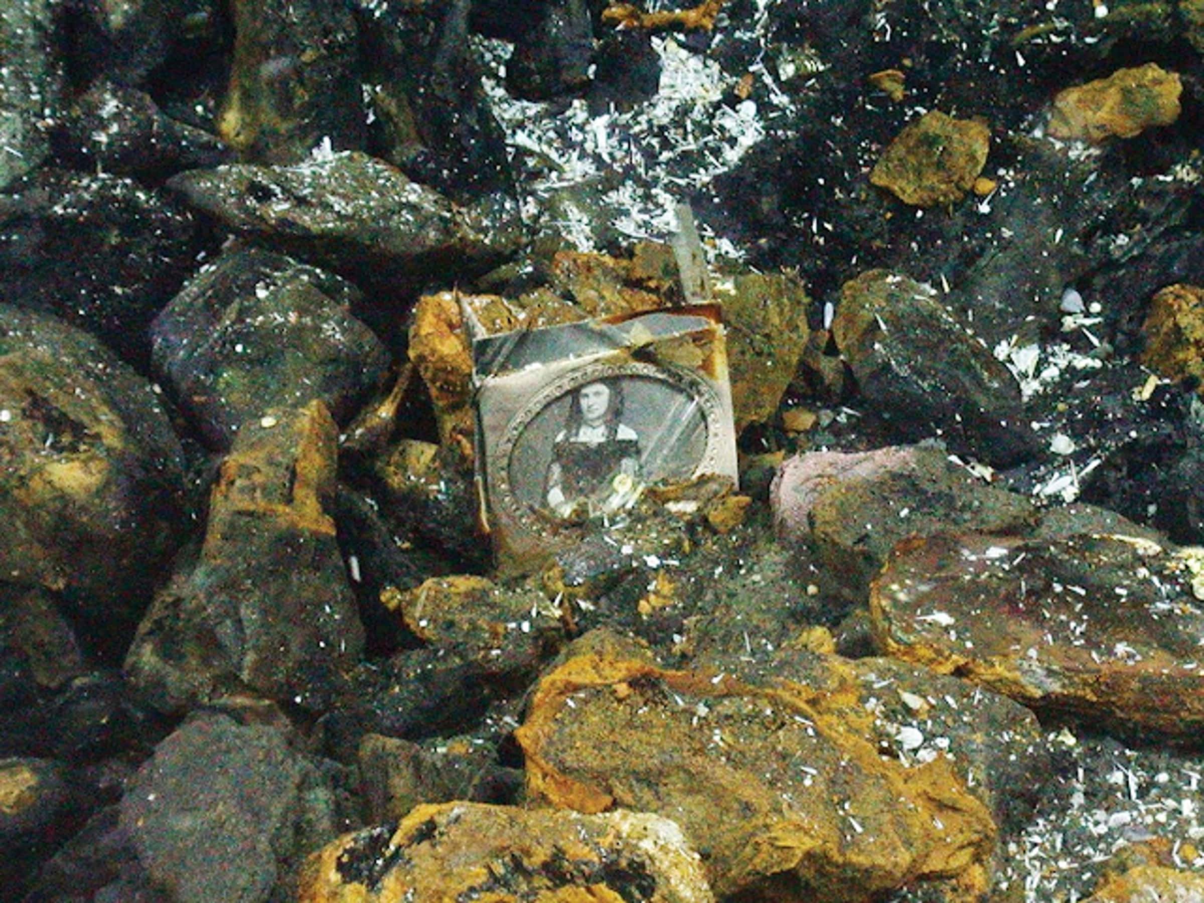 ���������