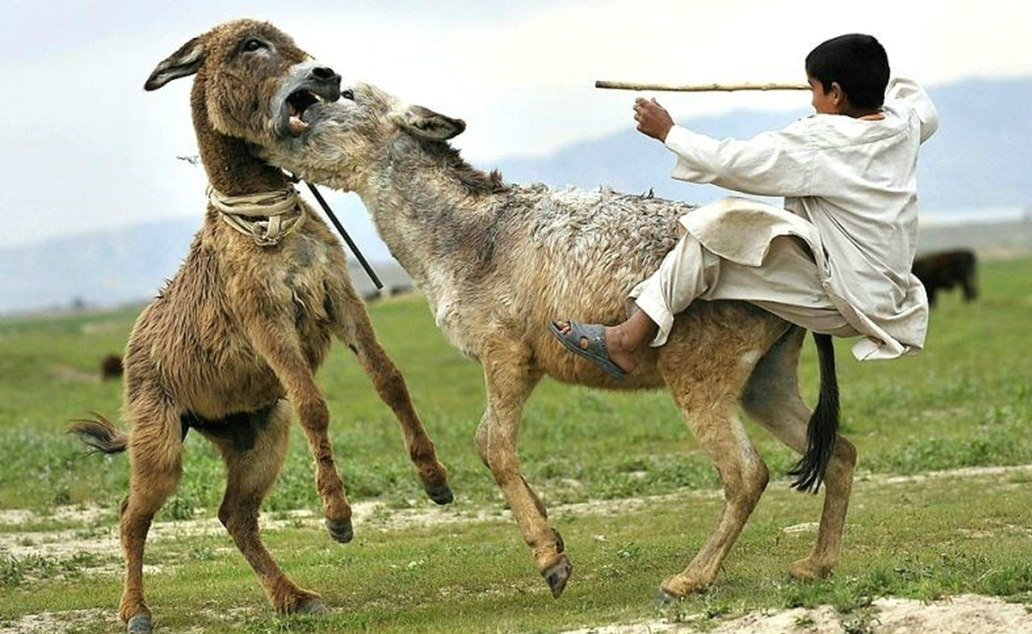 ���������