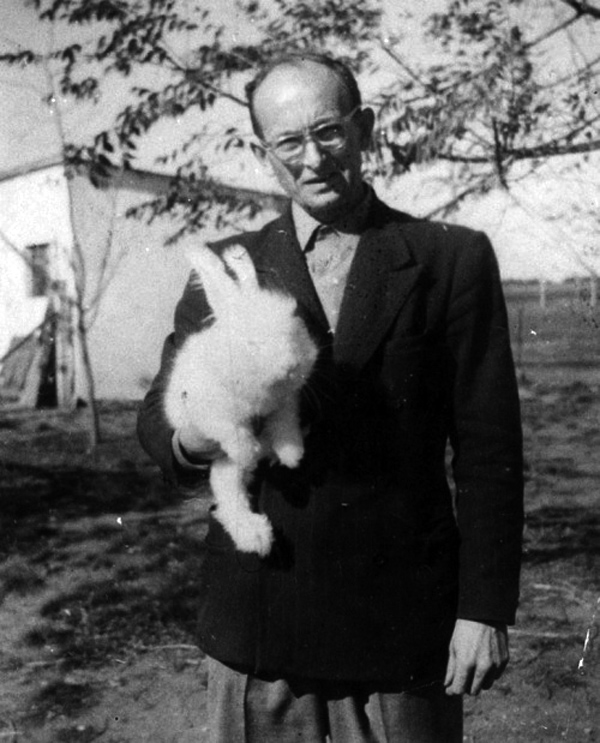 ���������