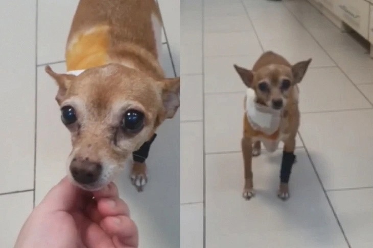 ���������