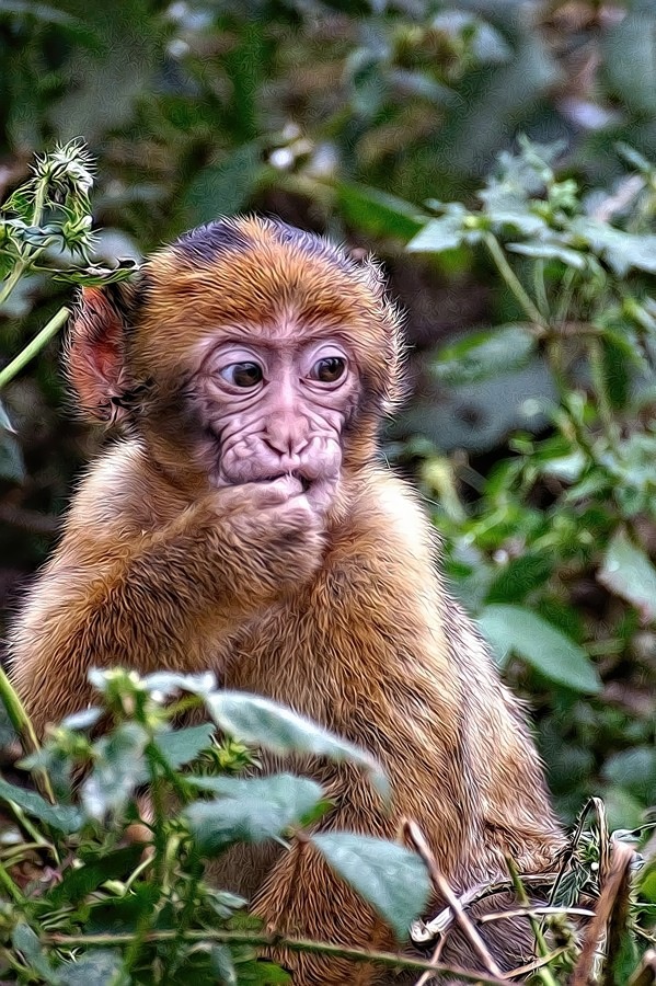 ���������