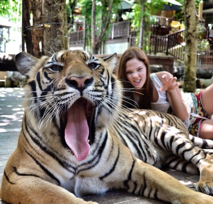 ���������