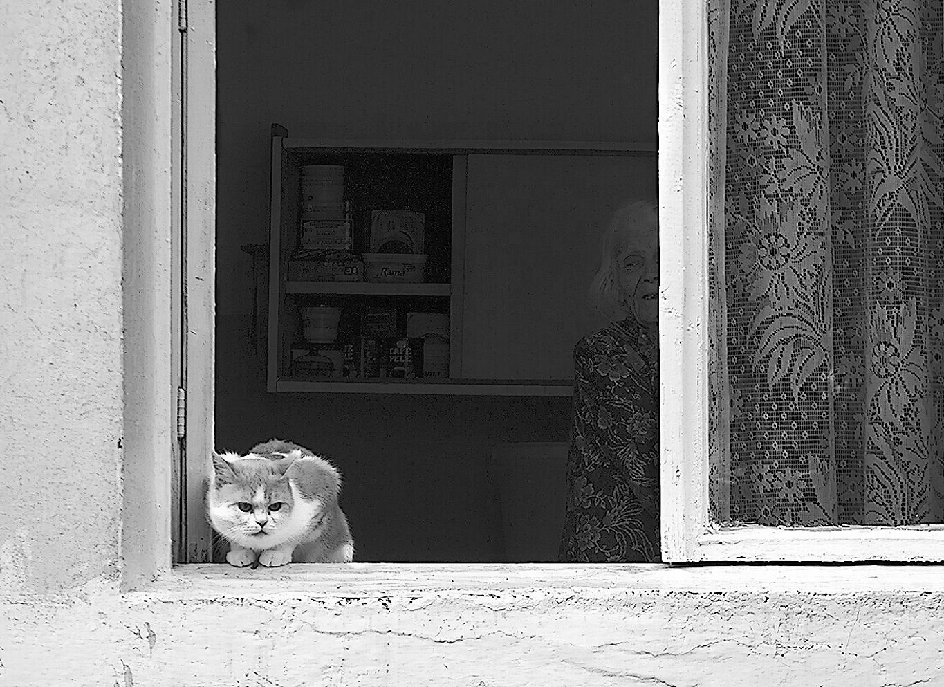 ���������