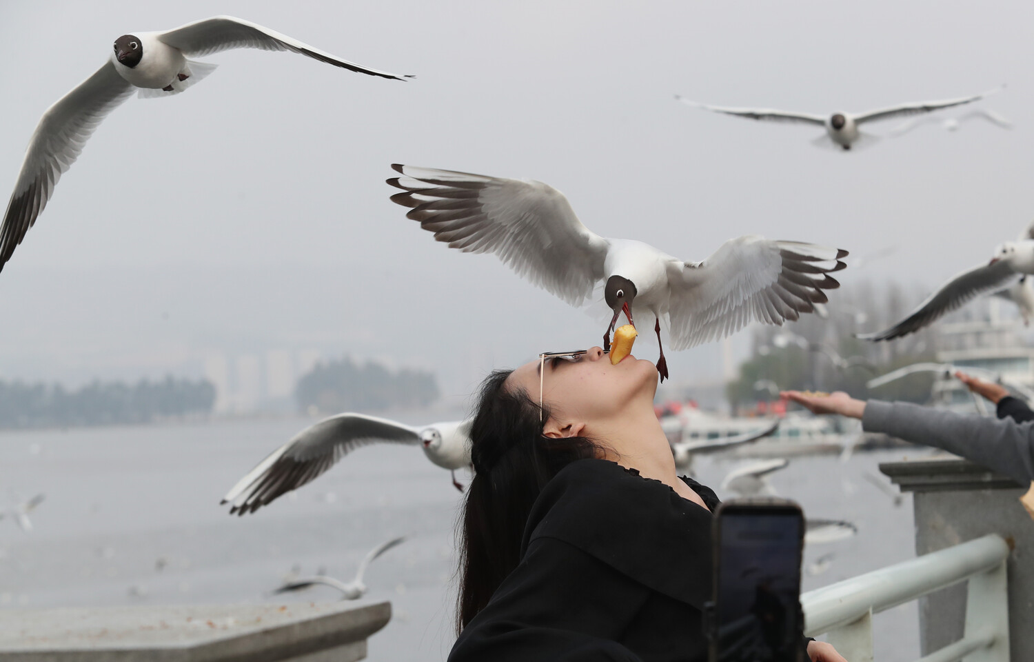 ���������