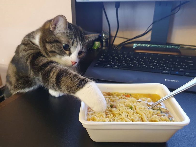 ���������