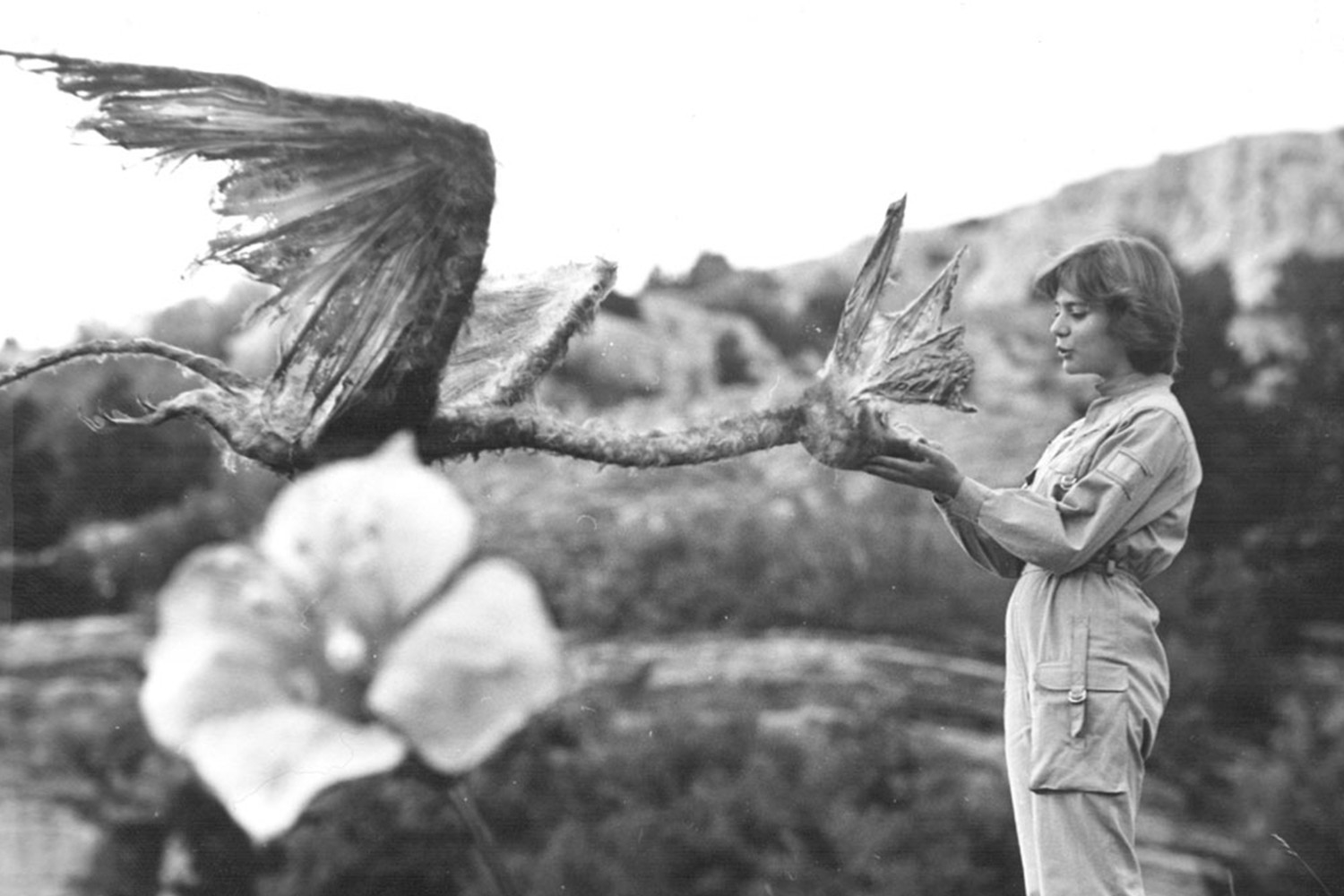 ���������