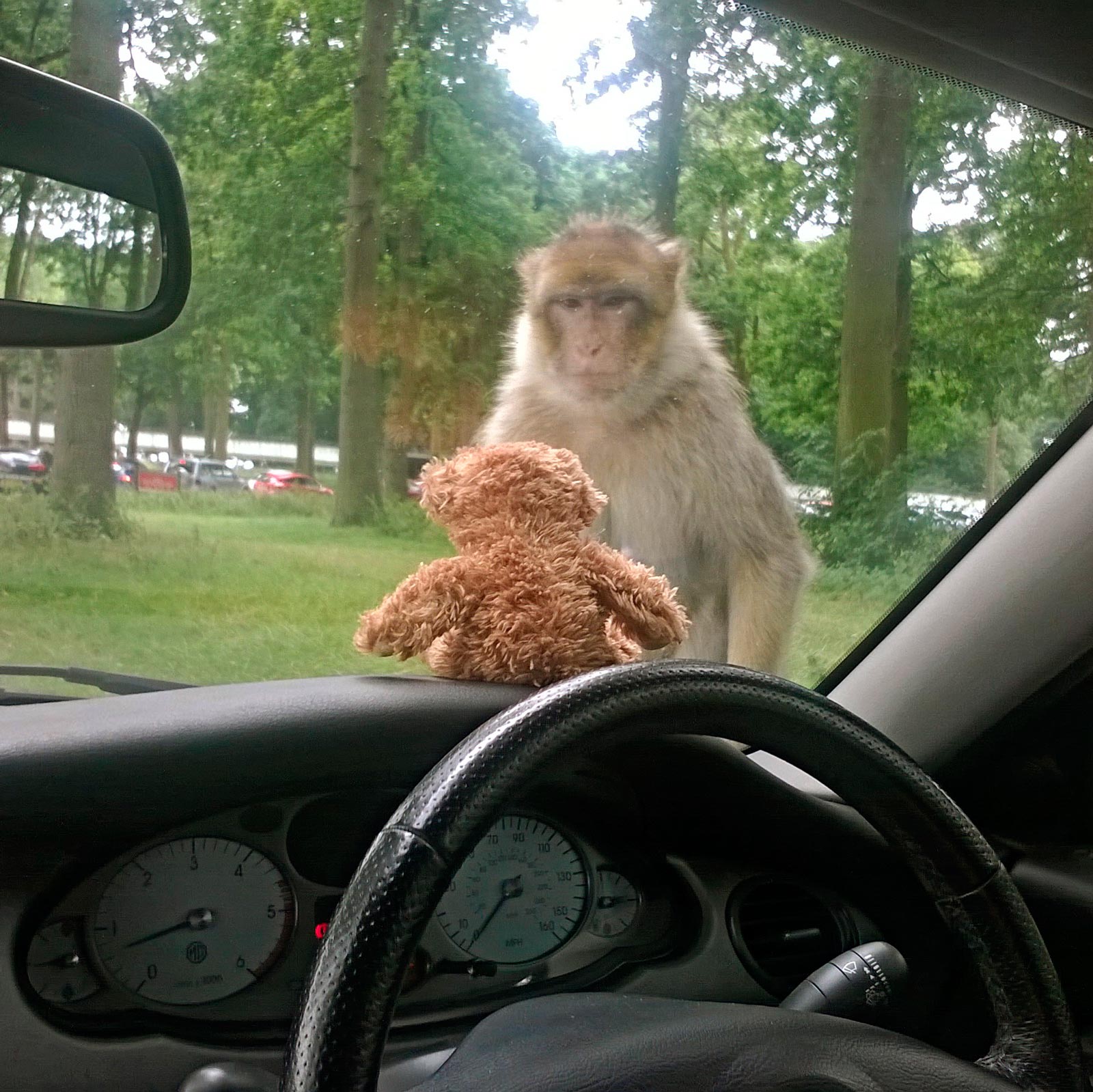 ���������