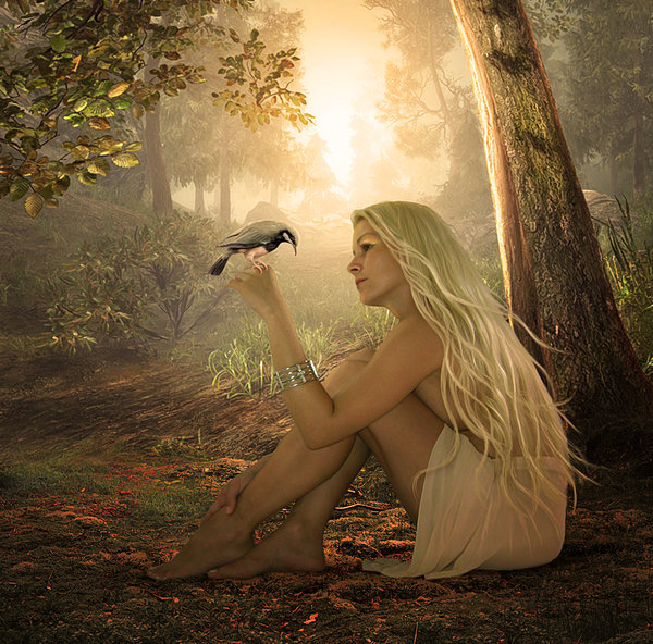 ���������