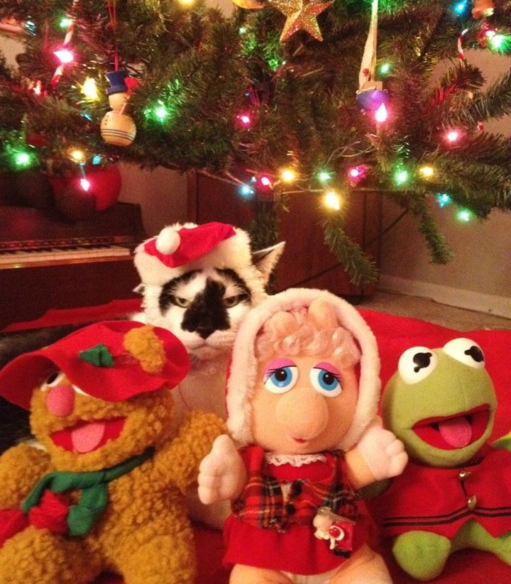 ���������