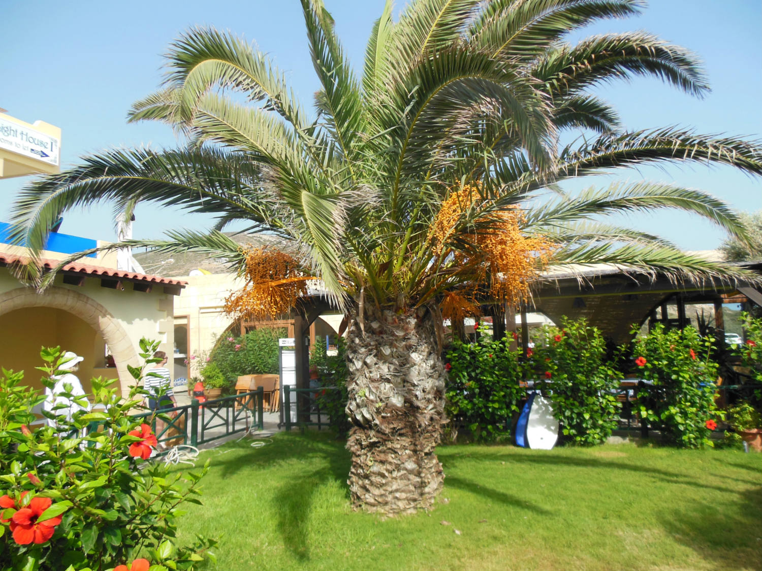 ���������