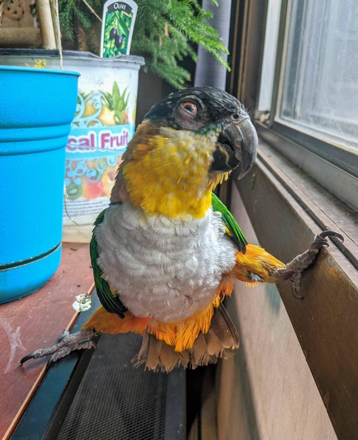 ���������