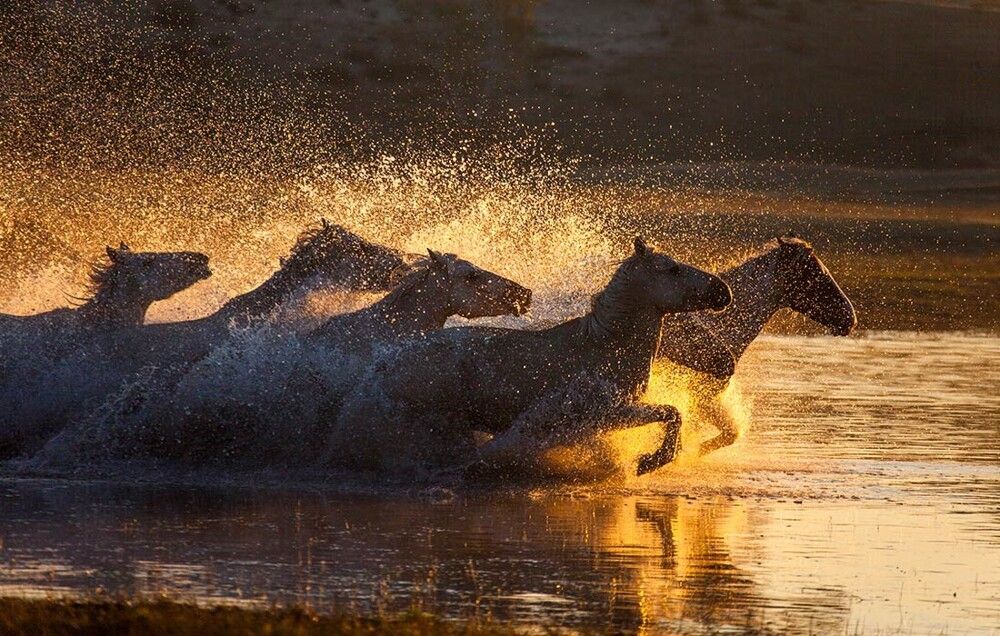 ���������