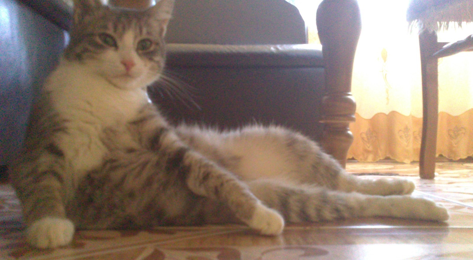 ���������