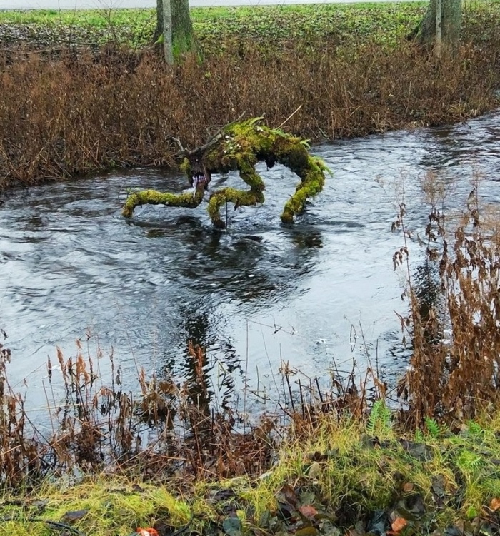 ���������