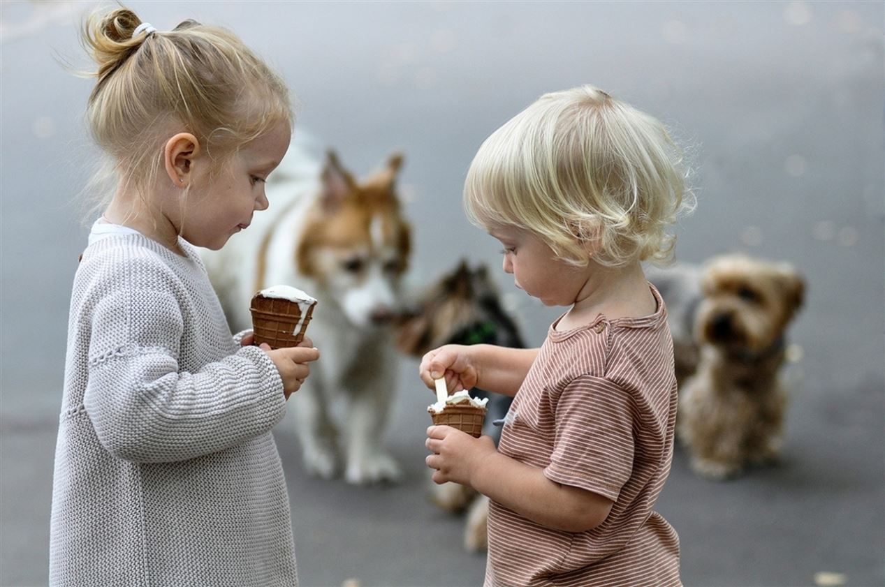 ���������