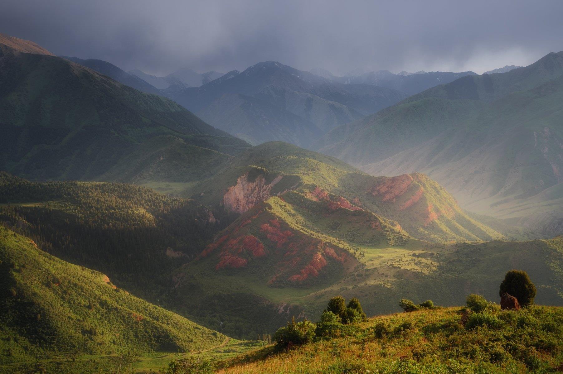 ���������