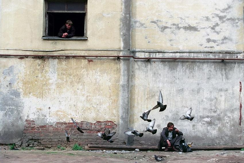 ���������