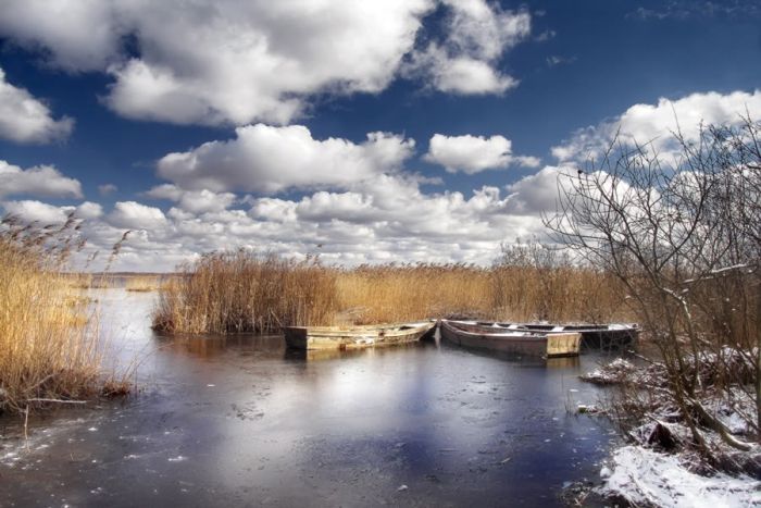 ���������