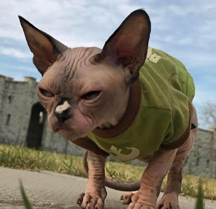 ���������