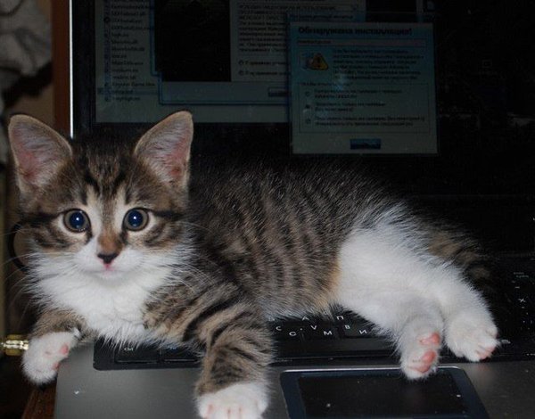 ���������