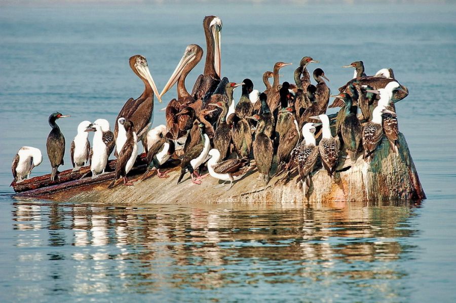 ���������