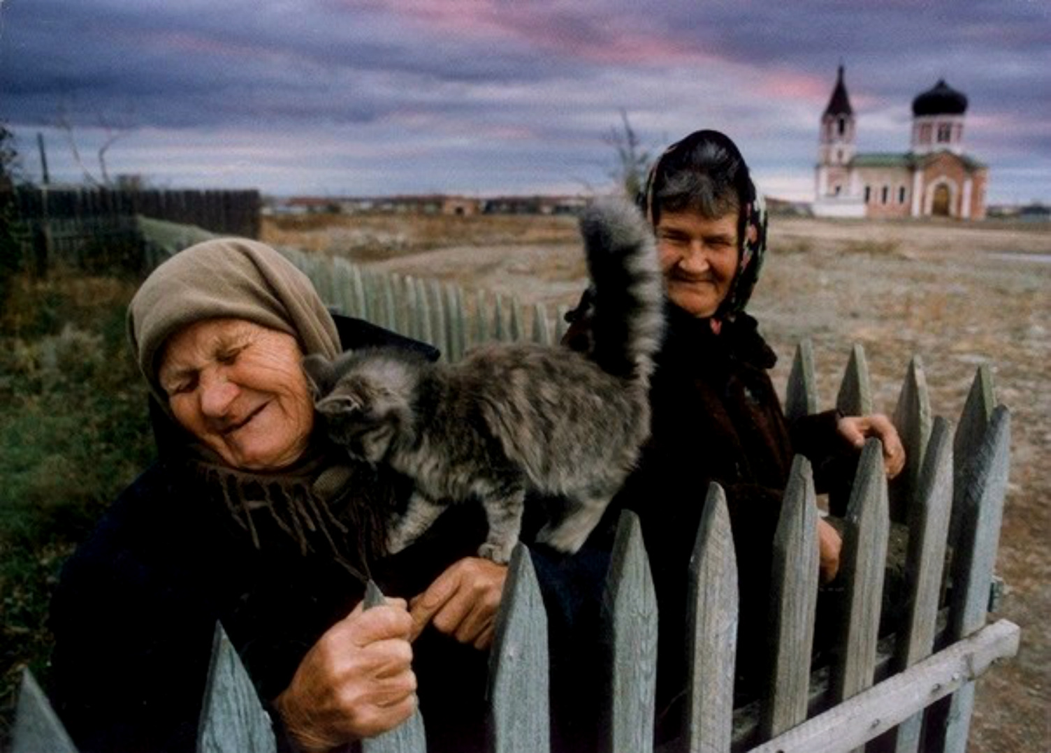 ���������