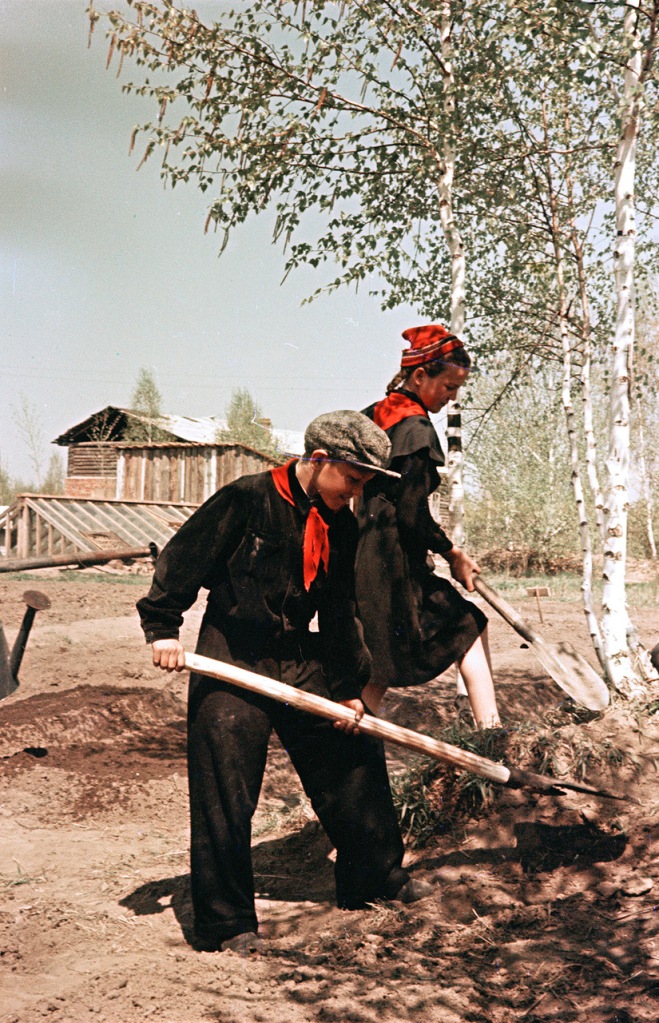 ���������