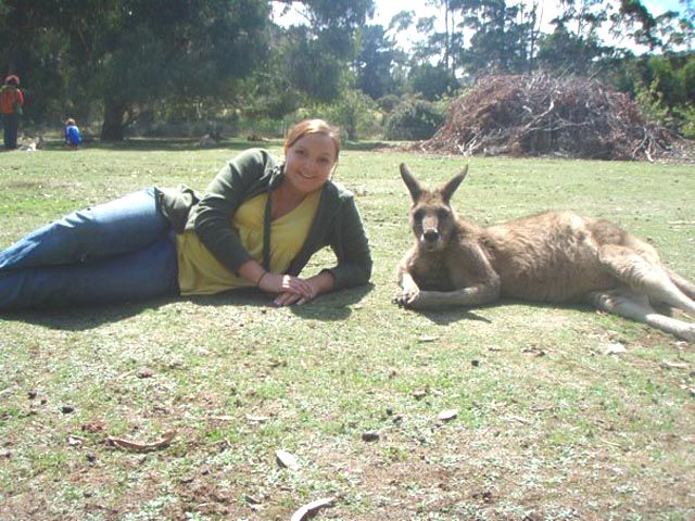 ���������