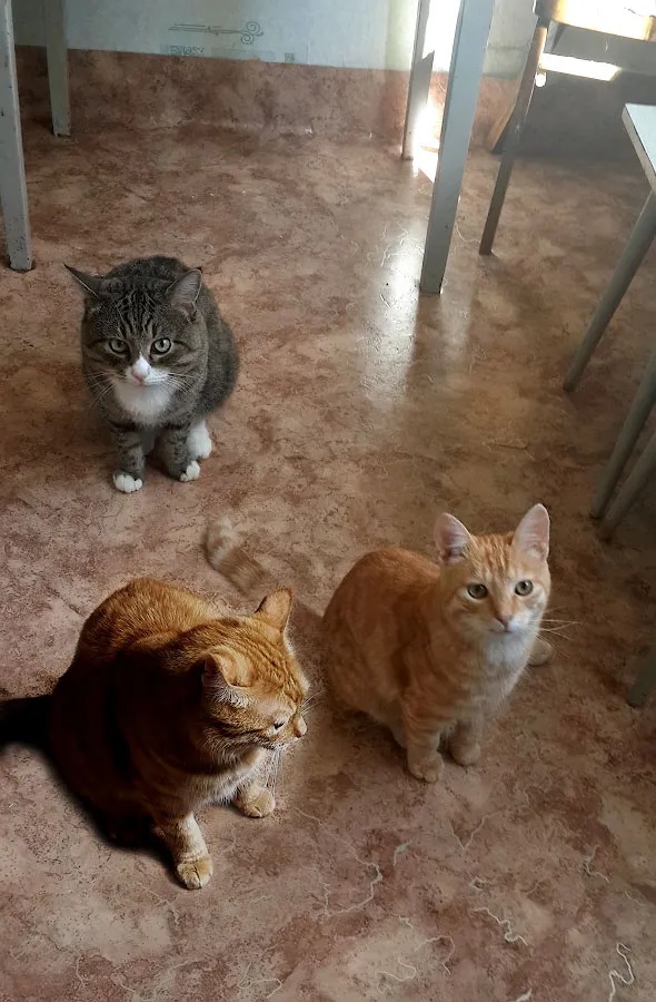 ���������