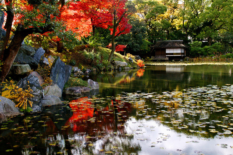 ���������