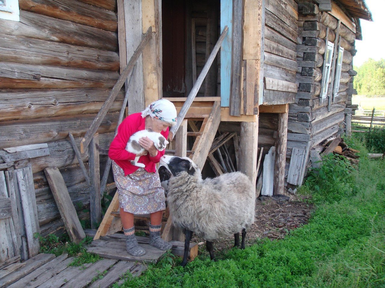 ���������