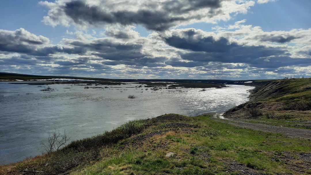 ���������